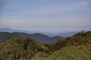 07/2019 - Serra do Mar. Foto: José Fernando Ogura/ANPr