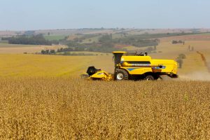 Colheita de soja. Fotos:Jaelson Lucas / Arquivo AEN