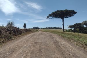 PR-459 Clevelândia a Mangueirinha
Rodovia entre Clevelândia e Mangueirinha terá investimentos de R$ 8,1 mi em conservação