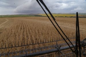 24/02/2021 - Cascavel, colheita de Soja