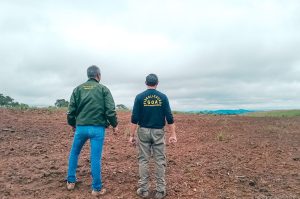 Edição 2024 da Operação Mata Atlântica em Pé identificou 1.433,33 hectares de área ilegalmente desmatada no Paraná