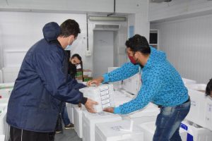 Chegada de 107.640 doses do imunizante Cominarty (Pfizer/BioNTech), enviados pelo Ministério da Saúde neste domingo ao Paraná -  Curitiba, 22/08/2021  -  Foto: Américo Antonio/SESA