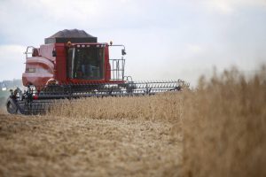 Safra da soja  -  Foto: Gilson Abreu/AEN