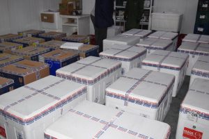 O Paraná recebeu nesta sexta-feira (20) mais 325.660 doses de vacinas contra a Covid-19. O lote enviado pelo Ministério da Saúde foi dividido em duas remessas, com 138.060 imunizantes produzidos pela Pfizer e 187.600 doses da CoronaVac. A distribuição para as 22 regionais que formam o sistema de saúde estadual começa já nesta sexta. -  Curitiba, 20/08/2021  -  Foto: Américo Antonio/SESA