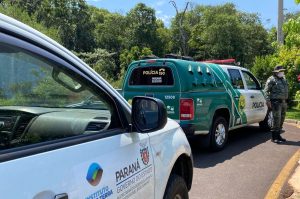 IAT e Polícia Ambiental apreendem 60 aves nativas em Pato Branco - Pato Branco, 26/01/2022