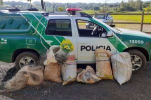 Em 2020, Polícia Ambiental atende mais de 15 mil ocorrências e faz 1,5 mil encaminhamentos no Paraná  -  Curitiba, 29/03/2021  -  Foto: Divulgação SESP-PR