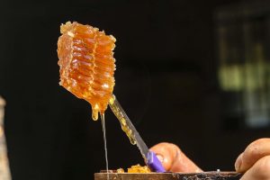 Produção de mel
Ortigueira - Pr
Gilson Abreu/AEN