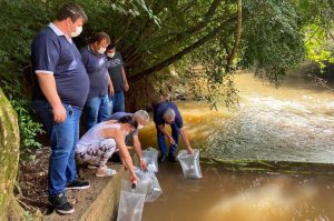 A Companhia de Saneamento do Paraná (Sanepar) fez a soltura de peixes no Rio do Lontra, manancial que abastece os moradores de Salto do Lontra, na terça-feira (23). Na ação, que faz parte das comemorações do Dia do Rio, foram lançados 5 mil peixes em idade juvenil das espécies lambari e jundiá. Essas espécies fazem parte da fauna da bacia do Baixo Iguaçu, na qual está inserido o Rio do Lontra. -  Salto do Lontra, 23/11/2021 - Foto: Sanepar