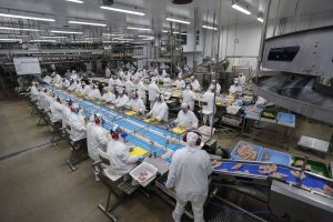 Matelândia- 22-10-2020 - Abatedouro de aves da cooperativa lar em Matelândia - Foto : Jonathan Campos / AEN