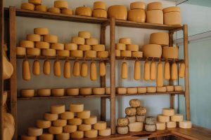 Historicamente, a região Sudoeste do Paraná é reconhecida pela produção de queijos artesanais, uma tradição que remonta à década de 1940.  Foto: Carina Pelegrin