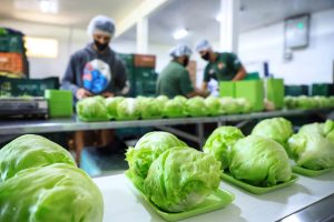 Fundepar abre chamada pública para compras da agricultura familiar - Curitiba, 08/12/2021