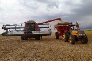 24/02/2021 - Cascavel, colheita de Soja