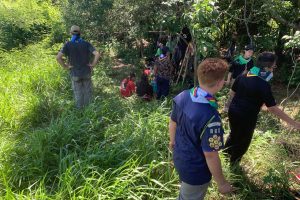 Ações ambientais para comemorar o Dia do Rio preveem a restauração de quatro hectares de mata ciliar em diferentes pontos do Paraná.