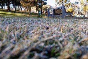 Guarapuava, 26 de agosto de 2024 - Geada em Guarapuava.