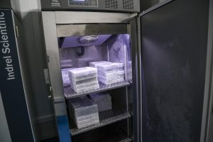 vacinas contra Covid-19 produzidas pela parceria entre Pfizer e BioNTech. O terceiro lote dos imunizantes, que chegou  à Capital nesta terça-feira (18), com mais 39.780 doses
Foto Gilson Abreu/AEN