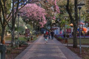 Pato Branco. 09/2019. Foto: José Fernando Ogura/AEN
