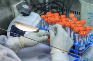 Paraná mantém liderança nacional na detecção da Covid-19 - Esse resultado só foi alcançado em função da parceria com a Unidade de Apoio ao Diagnóstico da Covid-19, implantada pelo Instituto de Biologia Molecular do Paraná (IBMP) em abril de 2020, em parceria com a Fundação Oswaldo Cruz (Fiocruz) do Rio de Janeiro e o Instituto de Tecnologia do Paraná (Tecpar). O laboratório ultrapassou nesta semana a marca de 2 milhões de testes RT-PCR. Esta foi a primeira central de testagem de alto processamento do Brasil e a unidade que mais realizou testes até agora em todo o País. -  Curitiba, 20/05/2021  -  Foto: José Fernando Ogura/AEN