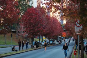 Outono -  03/05/2021 - Foto: Geraldo Bubniak/AEN