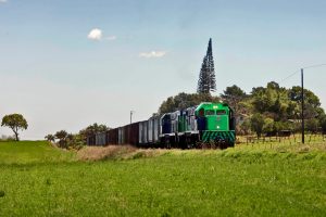 A Estrada de Ferro Paraná Oeste S/A, ou Ferroeste, é uma empresa ferroviária estatal brasileira criada em 15 de março de 1988, que tem como principal acionista o estado do Paraná. Está no ranking das 500 maiores empresas do Sul do Brasil e entre as 100 maiores do Paraná. Seu centro de operações está localizado em Cascavel