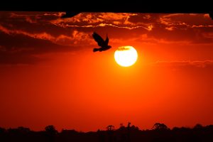 Dia do Sol em Curitiba.
Foto: José Fernando Ogura
