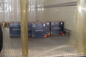 O  Secretário de Estado da Saúde, Beto Preto e o vice-prefeito Eduardo Pimentel recebem o primeiro lote de  32.760 doses de vacinas contra a Covid-19 da  Pfizer   no Centro de Medicamentos do Paraná (Cemepar), em Curitiba, na noite desta segunda-feira (3).  
Foto: Geraldo Bubniak/AEN