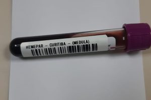 Em seis meses, cadastro de medula óssea no Paraná originou seis transplantes exitosos pela compatibilidade