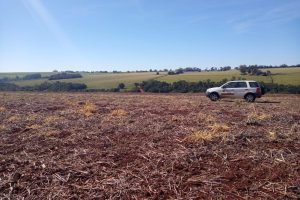 Vazio sanitário - Foto: Camila Roberta Javorski Ueno/Adapar