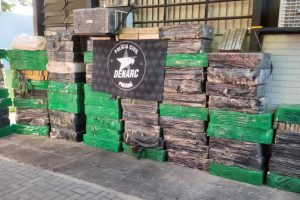 As forças de segurança do Paraná apreenderam cerca de 145,2 toneladas a mais de drogas nos doze meses de 2020, se comparado com o ano de 2019. De acordo com os dados da Secretaria Estadual da Segurança Pública (SESP), divulgados nesta quarta-feira (24/03), foram 288,9 toneladas de drogas (maconha, cocaína e crack) apreendidas de janeiro a dezembro de 2020, contra 143,6 toneladas durante o mesmo período de 2019, ou seja, um aumento de 50,2%.  -  Curitiba, 24/03/2021  -  Foto: Divulgação SESP-PR