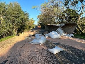 366080415_759872292812075_7245575578840295565_n