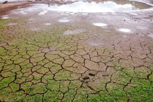 Levantamento do Simepar apontou que nove cidades, de quase todas as regiões do Estado, tiveram chuvas bem abaixo da média histórica entre os meses de junho de 2019 a março de 2020. Redução média na precipitação foi de 33% nos municípios pesquisados.
08/04/2020 - Foto: Geraldo Bubniak/AEN