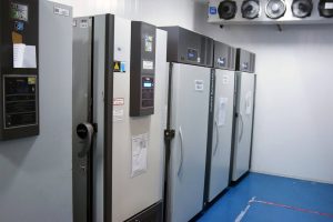 Saúde freezers  -  Foto: SESA