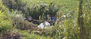 67E31BAC-809D-4DDF-85F1-34382E53DF56