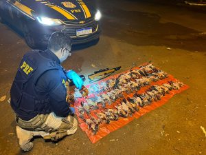 70cf7092-4435-4de3-98f2-d7b86d9331be