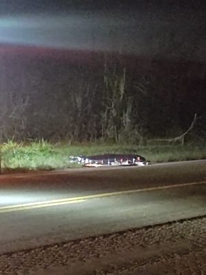 8193159e-27d3-40b1-ba5d-ef950612b2fd