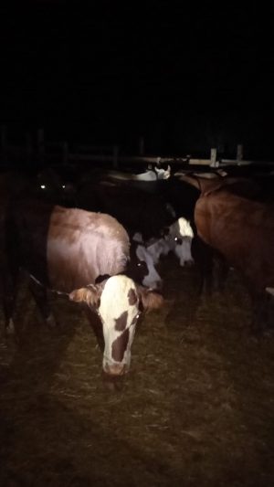 96E892EA-74E7-4CCB-8D49-49B37EF3B656