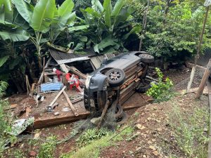 ADEB5615-2B95-483C-9F61-74327117A607