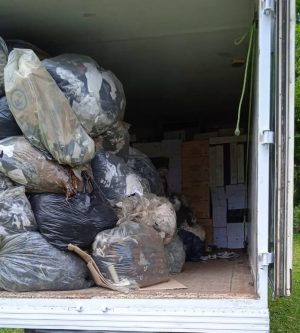 Apreensao de vinhos ampere