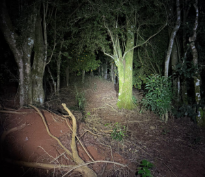 Captura-de-tela-2026-06-21-220156