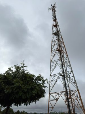 Celular1