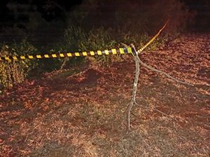 S8GE3BM8FH641TQFHOYZ