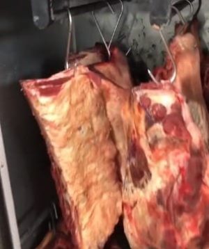 VZCX7EBCF410A5YJOTY3