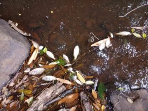 WhatsApp Image 2021-04-24 at 09.52.06