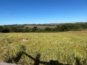 WhatsApp Image 2021-04-28 at 10.05.53