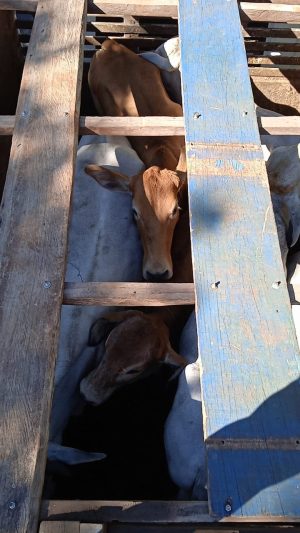 WhatsApp Image 2021-04-28 at 18.17.41