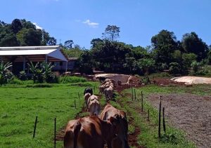 WhatsApp Image 2021-05-19 at 16.29.12