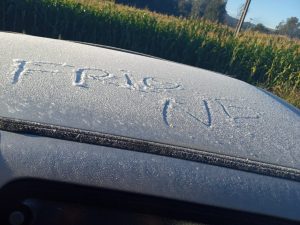 WhatsApp Image 2021-05-25 at 16.02.41