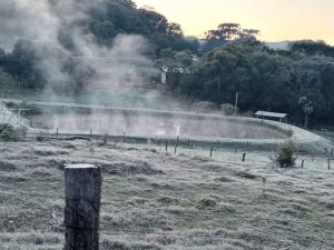 WhatsApp Image 2021-06-29 at 07.41.24