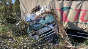 WhatsApp Image 2021-07-26 at 16.21.41