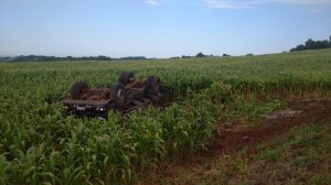 WhatsApp Image 2021-12-30 at 09.02.13 (1)