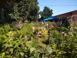 WhatsApp Image 2022-02-09 at 10.23.15